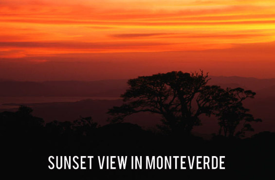 Monteverde Backpackers