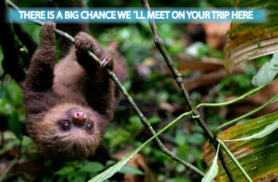 Monteverde Backpackers