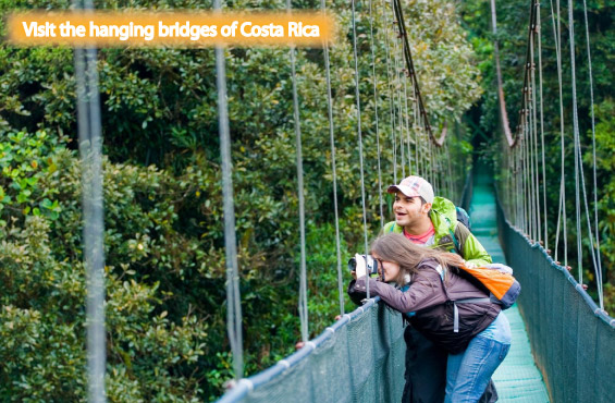 Monteverde Backpackers