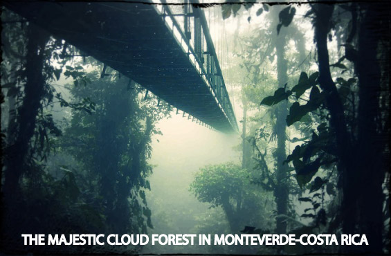 Monteverde Backpackers