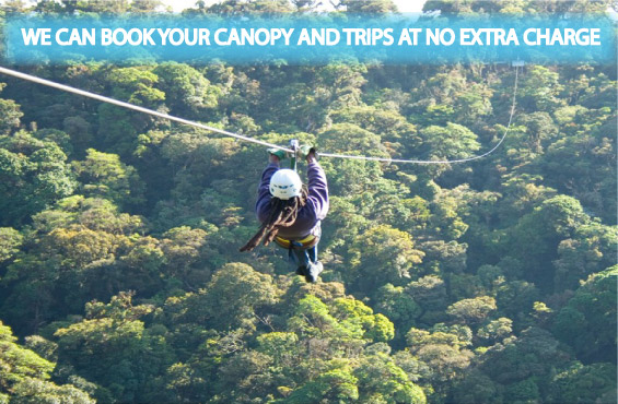 Monteverde Backpackers