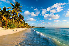 Tamarindo Backpackers Costa Rica